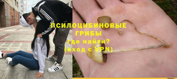 гашик Алзамай