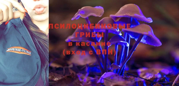 гашик Алзамай