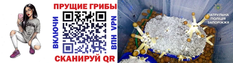 Галлюциногенные грибы GOLDEN TEACHER  где купить   Межгорье 